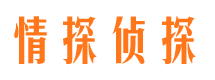 瓦房店调查公司